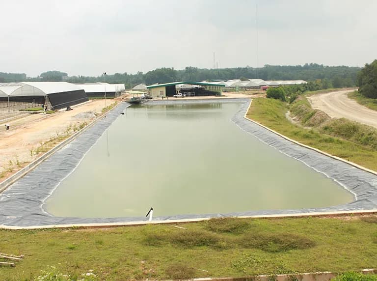 Elevated view of a lined water-harvesting reservoir beside greenhouse structures.