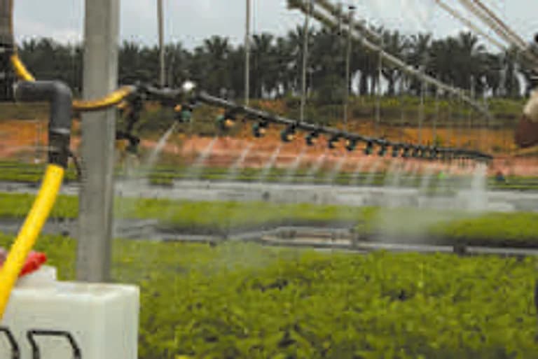 Overhead boom irrigation system spraying crop rows.