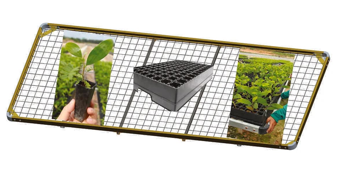 Tray cart system: seedling, empty GI tray cart unit, and a worker loading a tray cart.