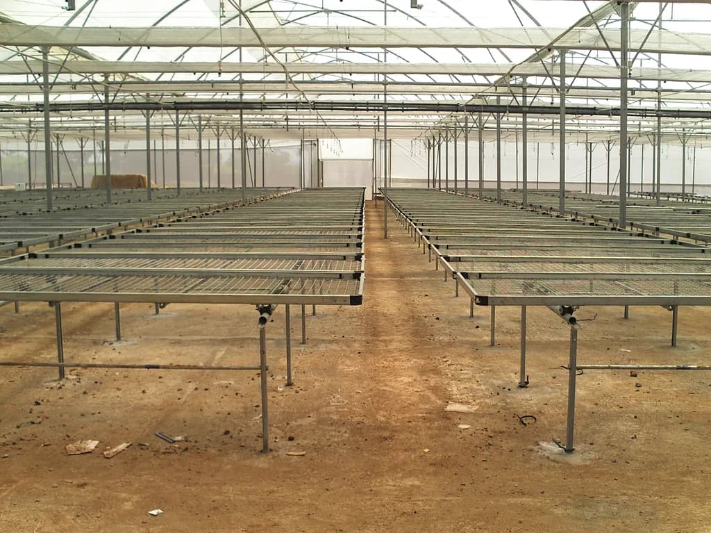 Symmetric interior view of nursery bench rows receding toward a doorway, arched roof and trusses visible.