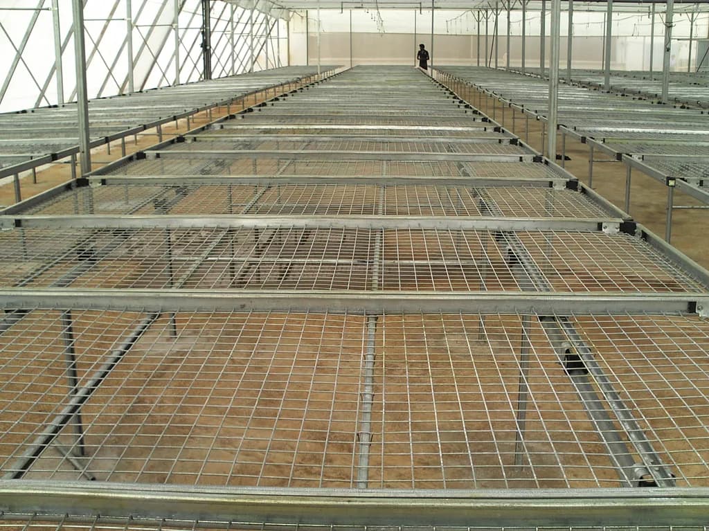 Symmetric interior bench-row view with a worker visible in the distance.