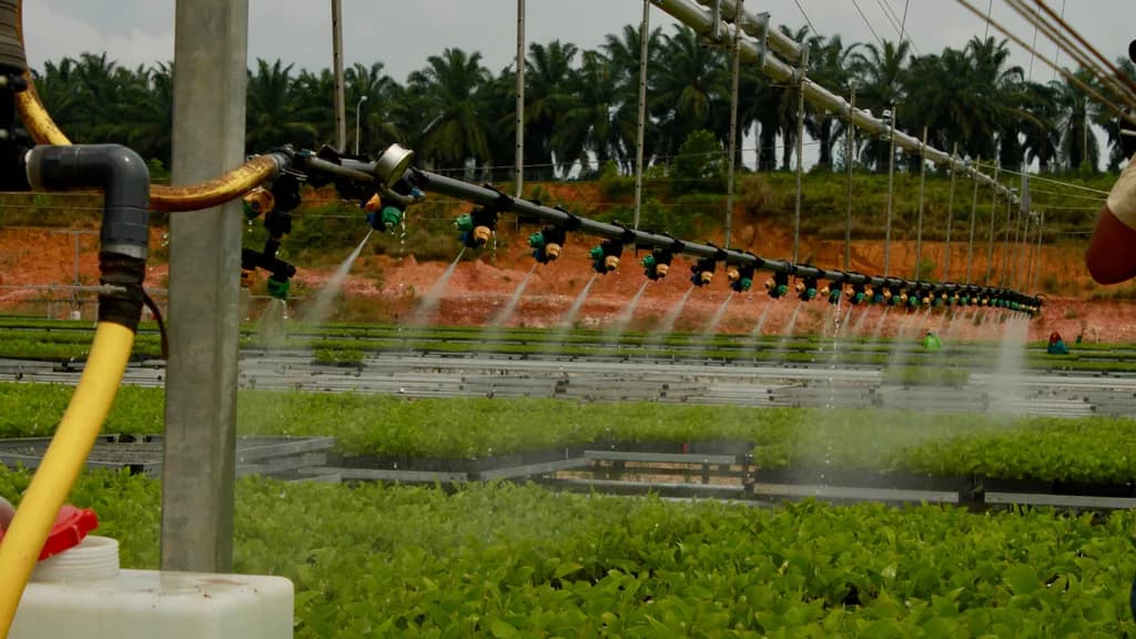 Boom-mounted spray-nozzle line misting rows of seedling trays, with a fertilizer dosing tank in the foreground.
