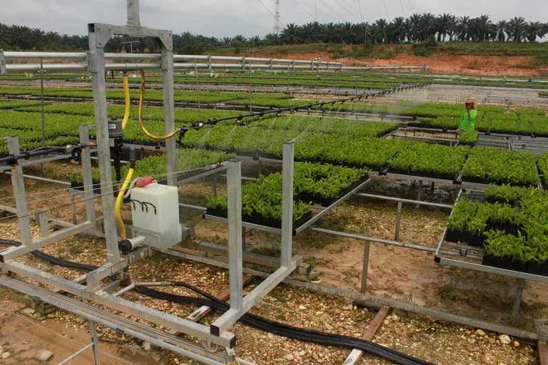 Elevated fertigation and dosing station with control valves overlooking rows of seedling trays.