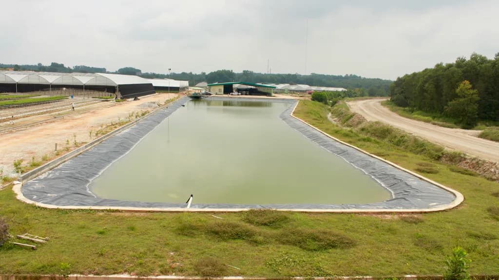 Elevated wide view of a lined water reservoir beside a nursery complex, with greenhouses and admin building visible.
