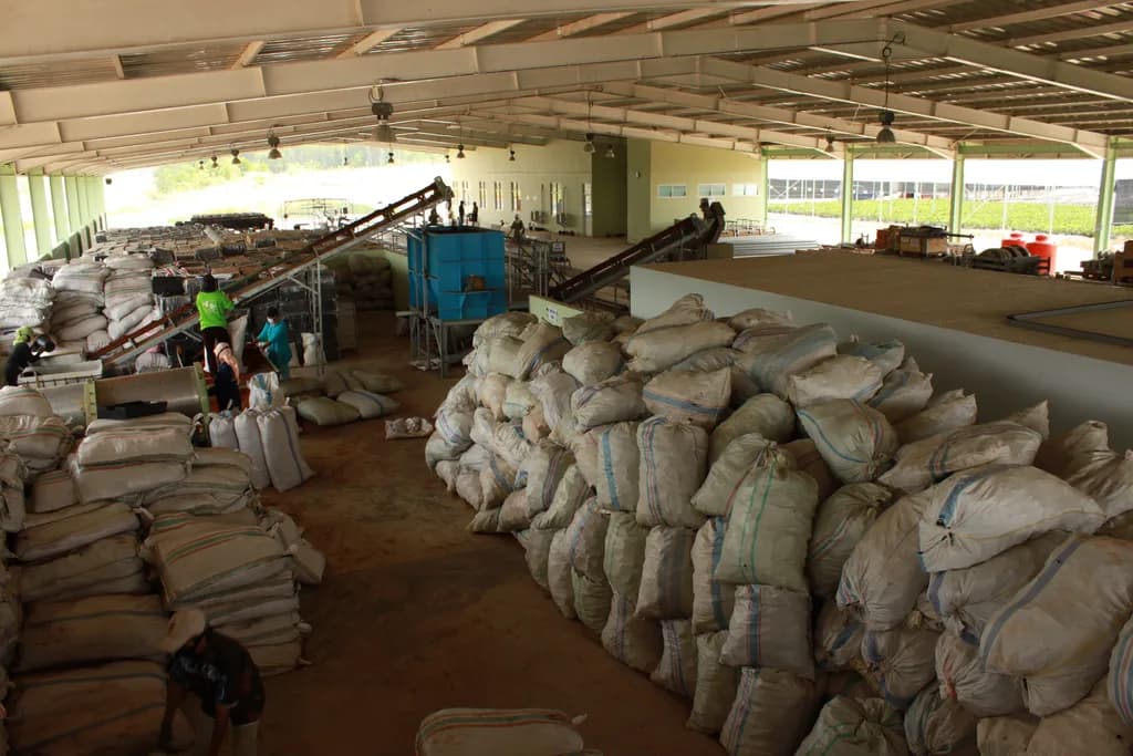Warehouse hall with stacked bagged growing media, conveyor elevators, and a mixing hopper.