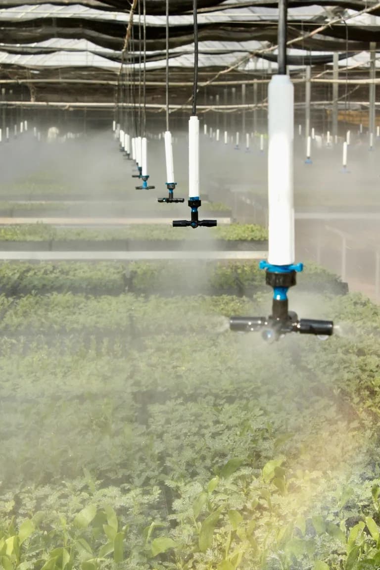 Vertical close-up of a row of misting nozzle risers over seedling trays.