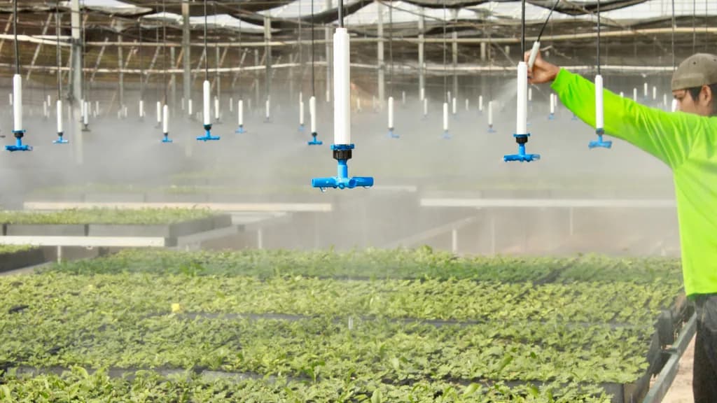 Overhead misting nozzles spraying fine mist over seedling trays, with a worker adjusting a nozzle.
