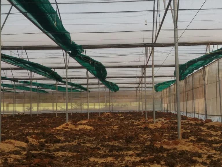 Empty polyhouse under construction, showing steel posts and shade netting being installed on the roof frame.