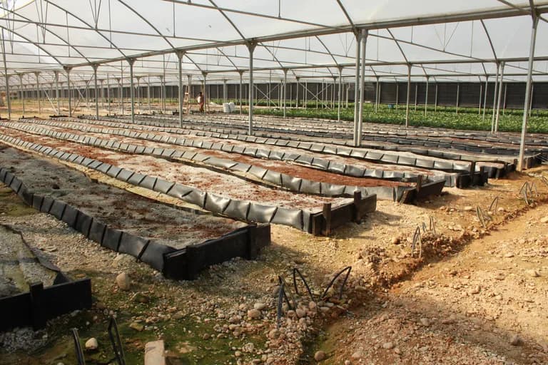 Greenhouse under construction with a steel truss frame overhead and raised planting beds being installed.