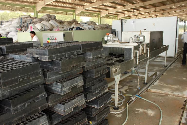 Automated tray-filling conveyor machine beside stacks of seedling trays and bagged growing media.