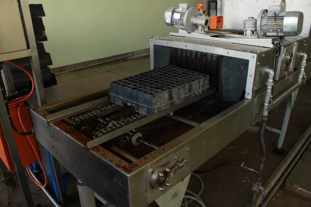 Stainless-steel tray-filling machine with a seedling tray on a chain conveyor entering the soil-fill station.