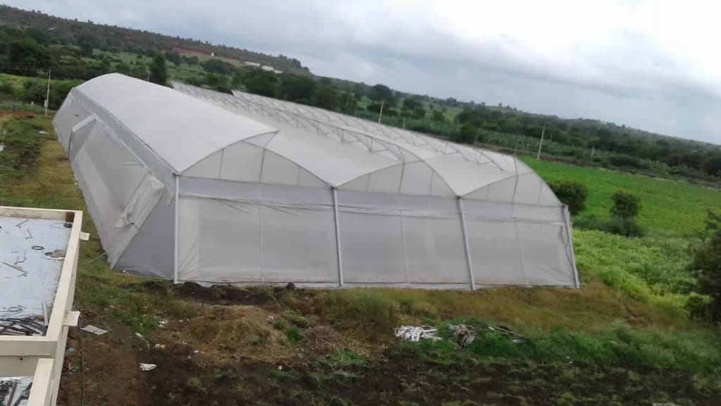 Large tunnel greenhouse on a hillside overlooking green farmland.