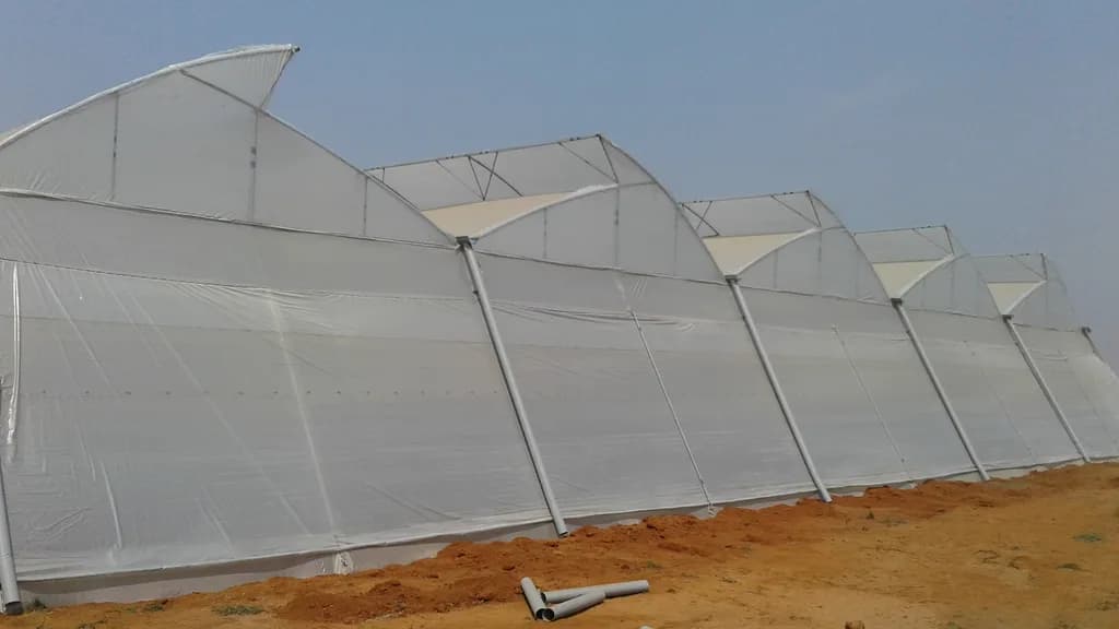 Row of connected tunnel greenhouse structures under construction on bare red-soil ground.