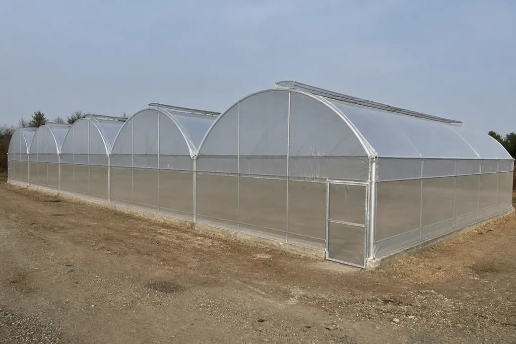 Illustrative rendering of a barrel vault greenhouse.