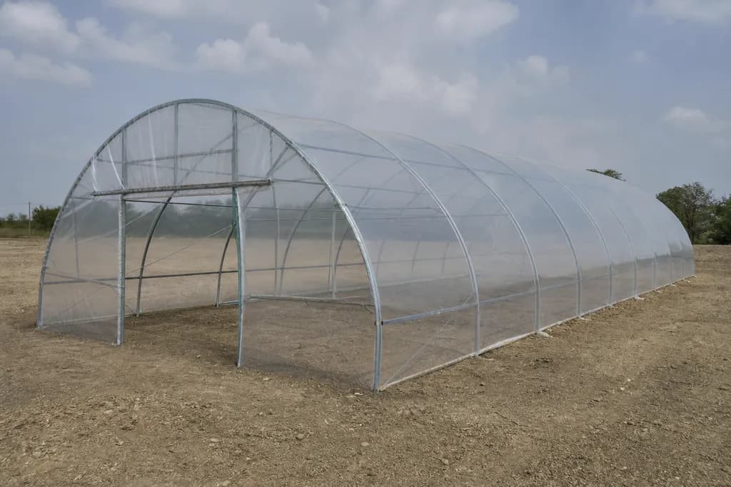Illustrative rendering of a Quonset-style tunnel greenhouse.