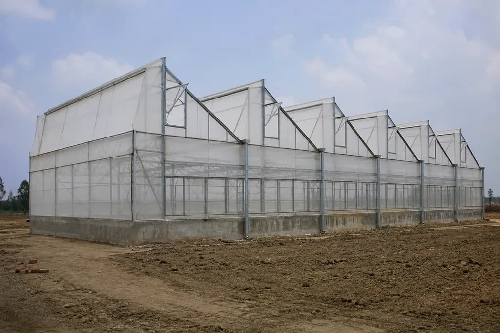 Illustrative rendering of a sawtooth-roof greenhouse.