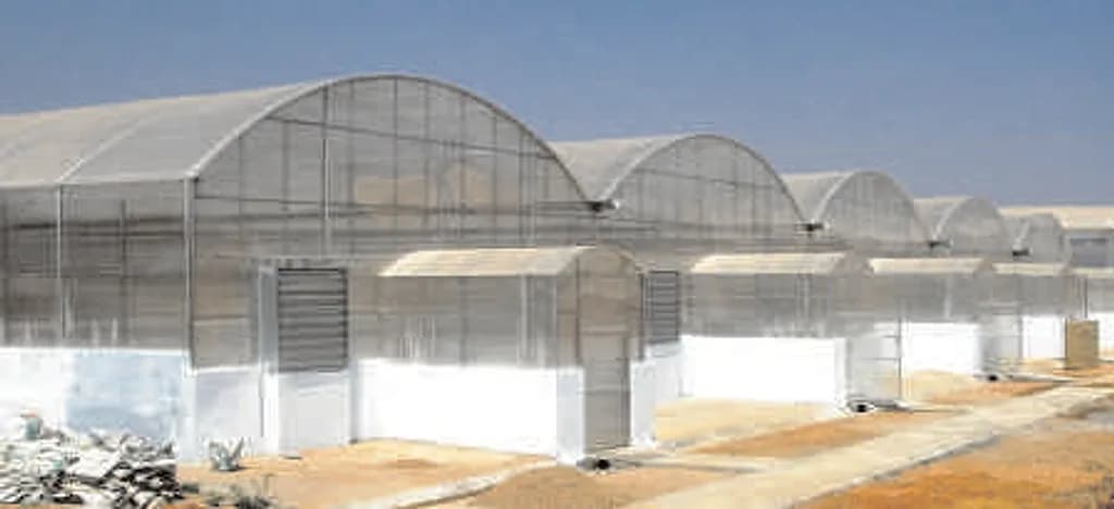 A row of Gothic Arch poly houses with white gable end walls, from Hytasu's project documentation.
